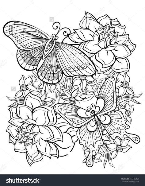 coloring pages butterflys