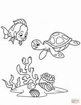 Coloring Coral Reef Turtle Pages Fish Sea Drawing Supercoloring Printable sketch template