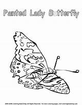 Coloring Painted Lady Butterfly Pages sketch template