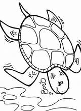 Turtle Coloring Sea Pages Printable Deep Diver Color Box Cartoon Getcolorings Getdrawings Turtles Colouring Printables Drawing Popular Template Colorings sketch template