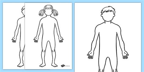 male  female body outline sheets teacher  twinkl