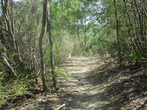 filehiking trail  castroville tx regional park img jpg