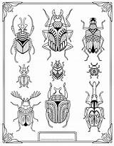 Coloring Ailes Des Colouring Insect Agenda Adult Pages Insects Behance Donner Pour Book Bug Bugs раскраски Coloriage Books Sheets Para sketch template