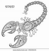 Zodiac Scorpio Coloring Horoscope Line Book Flowers Pattern Symbol Drawn Hand Tattoo Sign Henna Zentangle Doodles Books Set Vector Search sketch template