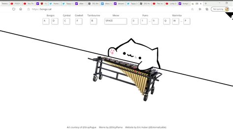 Bongo Cat P Join My Discord Group Discord Gg Yzhsshu Youtube