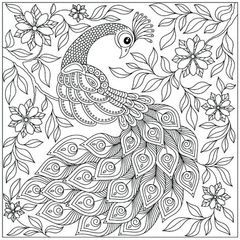 peacock   flowers peacocks adult coloring pages