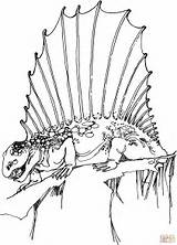 Echse Grossem Faecher Dimetrodon Ausmalbild Disegno Malvorlage Dinosauro Permian sketch template