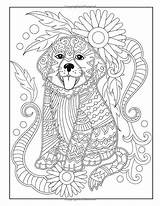 Easy Colouring sketch template