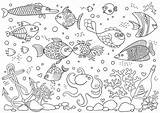 Aquarium Marin Unterwasserwelt Poissons Coraux Subacqueo Korallen Boyama Ahtapot Corals Shells Akvaryum Mercan sketch template