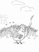 Hen Red Little Wheat Coloring Pages Gathering Template Puppets Printable Supercoloring Color sketch template