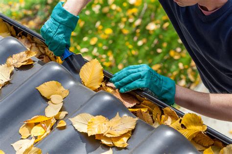 gutter cleaning tips  homeowner