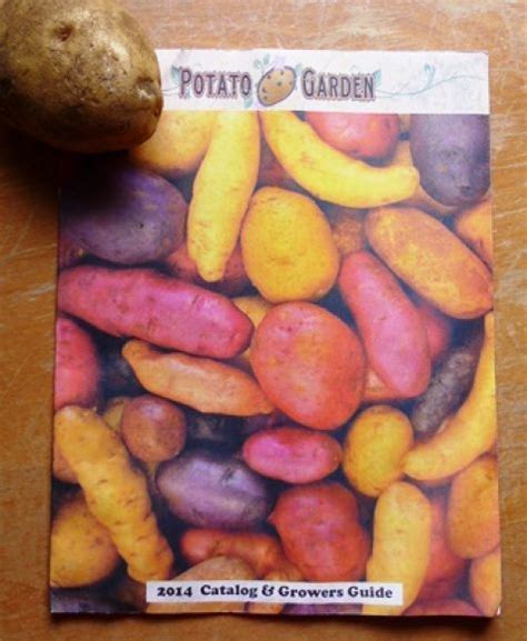 potato garden catalog      frills listing   dozens  potatoes gardeners