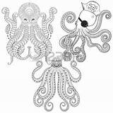 Octopus Coloring Tribal Tattoo Zentangle Hand Drawn Tentacle Octopuses Set Pages Stress Anti Ad Adult Boho Designlooter Drawings sketch template