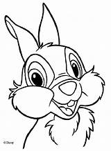 Bambi Bamby Coloriage Klopfer Tambor Hellokids Thumper Coloriages Ausmalen Animation Ausmalbilder Disegno Bambie Bojanke Lapin Crtež Lescoloriages Précédent Línea Gifgratis sketch template