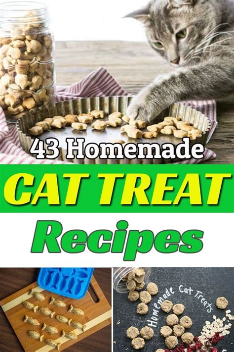These Homemade Cat Treat Recipes Are Delicious Healthy