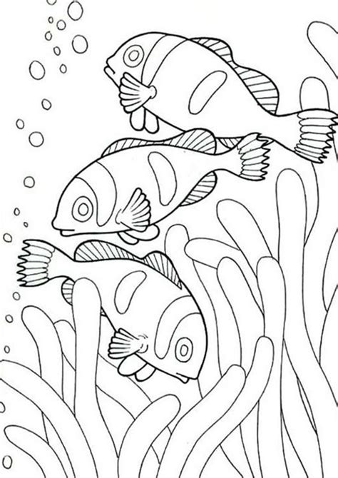 easy  print fish coloring pages fish coloring page easy coloring pages animal