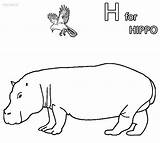 Hippo Coloring Pygmy Printable Cool2bkids Cartoon Hippopotamus Drawing Boyama Baskı Hayvan Tasarımları çizimler Sayfaları Hayvanlar Colouring Hippotamus Ausmalbilder Kinder sketch template