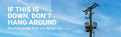 electrical safety  powerlines