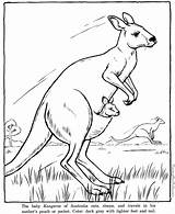 Coloring Pages Zoo Animal Kangaroo Color Sheets Animals Printing Help sketch template