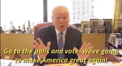 voting donald trump by election 2016 find and share on
