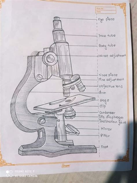 discover    compound microscope parts sketch ineteachers