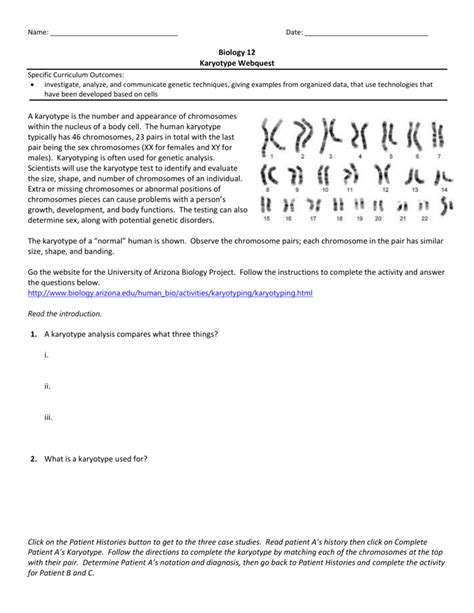 29 karyotype webquest