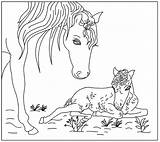 Veulen Paard Kleurplaten Paarden Veulens Lente Colorir Ponys Horses Desenhos Uitprinten Downloaden Cavalos Cavalo Terborg600 Riscos sketch template