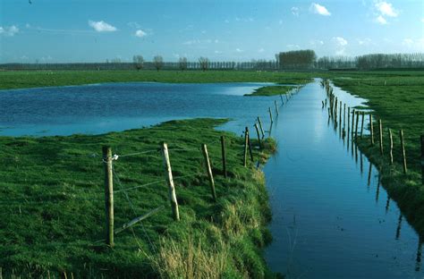 de prachtige polders en kreken  het meetjesland polder flanders space art inspire  wind