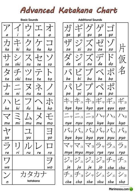 advanced katakana chart learn japanese words japanese language