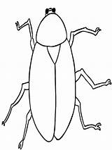 Cockroach Cucaracha Bestcoloringpagesforkids Baratas Insetos Imprimir Cockroaches sketch template