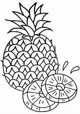 Pineapple Coloring Pages Print sketch template