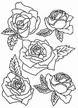 Colorat Trandafiri Flori P22 Planse Primiiani Desene sketch template