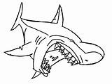 Jaws Shark Laughing sketch template