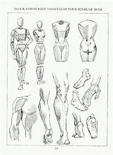 Loomis Anatomy Approaching sketch template