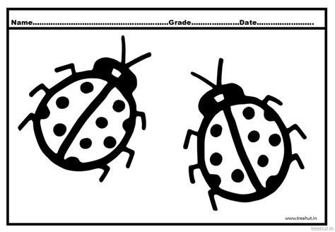 ladybird coloring pages