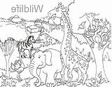 Coloring Gate Zoo Entrance Getcolorings sketch template