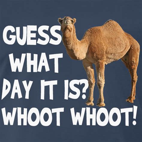 Laughingshirtsandts Hump Day Camel Guess What Day It Is T Shirt