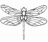Dragonfly Coloring Drawing Pages Line Wings Kids Drawings Tattoo Designs Google Printable Green Large Color Patterns Winged Silhouette Clip Wing sketch template