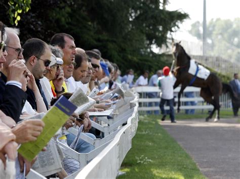 gamblers betting  horse races waste   money   longshot business insider