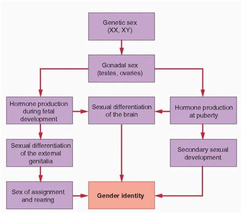 normal and abnormal sexual development obgyn key
