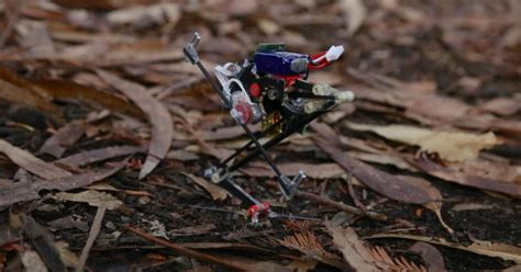 salto jumping robot adds precision hopping   repertoire