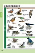 台灣野鳥網路圖鑑 的圖片結果. 大小：122 x 185。資料來源：24h.pchome.com.tw