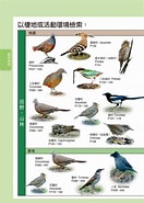 台灣野鳥圖鑑 的圖片結果. 大小：132 x 185。資料來源：24h.pchome.com.tw