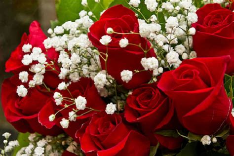 Red Roses Bouquet Love Beautiful Passion Hd Wallpaper Pxfuel