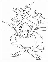 Coloring Kangaroo Pages Baby Mother Her Australia Cute Printable Kids Kirby Books Print Library Popular sketch template