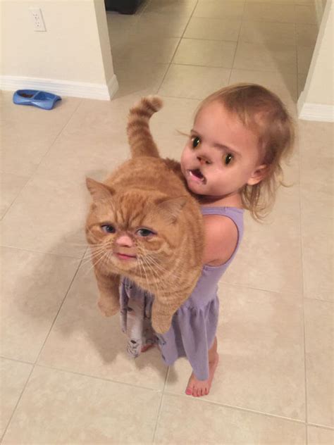 69 funny face swaps that prove we use snapchat way too much