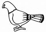 Colorear Paloma Duif Kleurplaat Taube Pigeon Colomba Malvorlage Palomas Educima Pomba Az Ausmalbild Aves Schulbilder Scarica sketch template