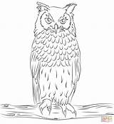 Owl Coloring Eagle Pages Silhouettes Printable sketch template