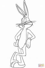 Bunny Bugs Coloring Pages Drawing Tunes Looney Printable Cool Cartoon Bux Characters Choose Board sketch template