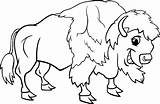 Buffalo Coloring Clipart Pages Cartoon Drawing Cape Kids American Water Bison Draw Drawings Getcolorings Color Cliparts Clip Sabres Printable Illustrations sketch template
